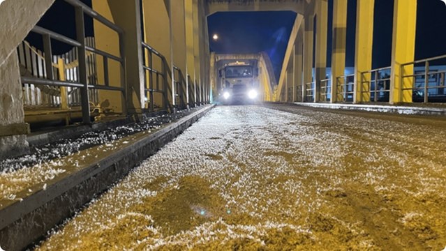 Birgün sinekleri ölüm uçuşu ile çiftleşti