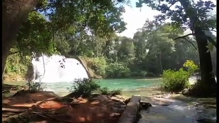 Top Things to Do in Chiapas, Mexico 🌿