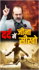 दर्द में जीना सीखो || आचार्य प्रशांत