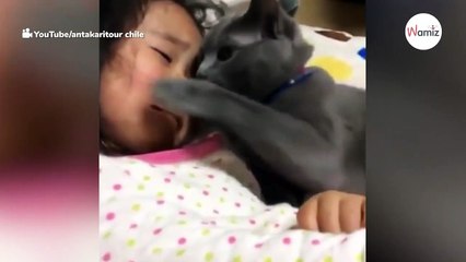 Watch: Cat comforts crying girl in an unforgettably sweet moment