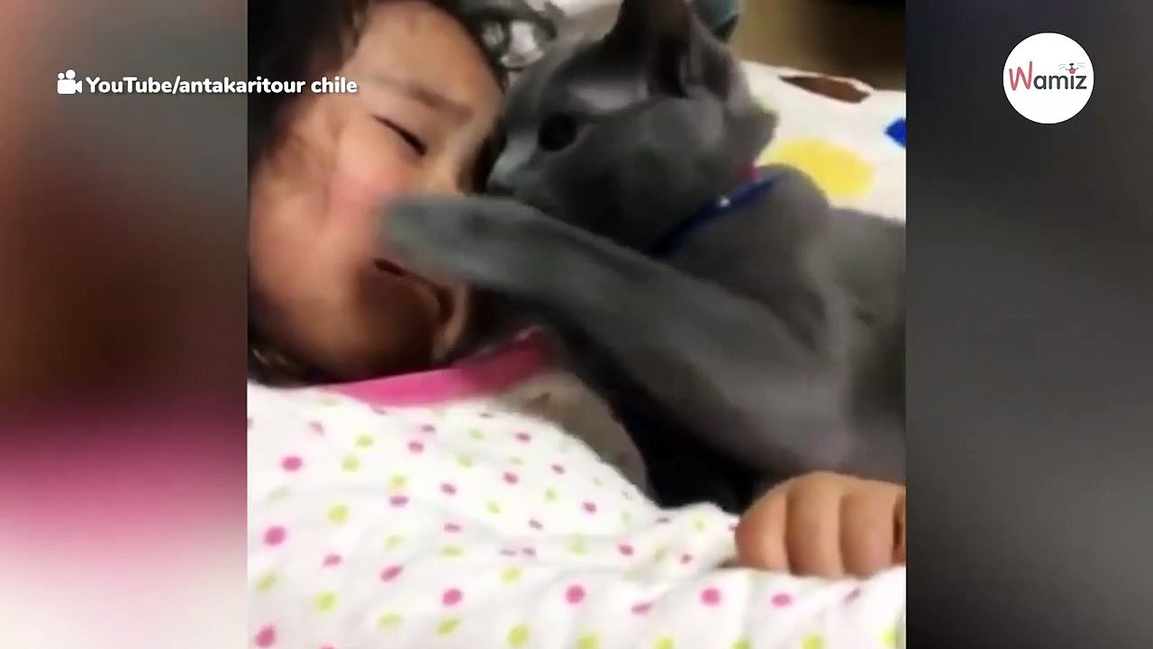 Watch: Cat comforts crying girl in an unforgettably sweet moment