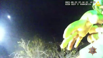 Menino de 5 anos perde-se ao seguir cão da família. As imagens do resgate