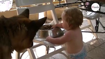 Watch as baby feeds German Shepherd – this will make you melt!