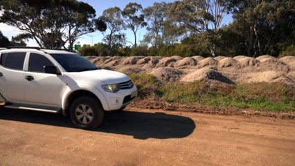 Qantas Apologizes After Cyber-Attack Exposes Data of Millions ✈️