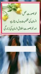 ❣️نبی کریم صلی اللہ علیہ وآلہ وسلم کی سنت❣️ لوگوں سے ملتے وقت مُسکرانا اندھے کو راستہ دکھانا اور راستے سے پتھر ہٹانا جب مریض کی عیادت کو جانا تو اس کو اپنے لیئے دعا کرنے کو کہنا، کیونکہ مریض کی دعا فرشتوں کی دعا کی طرح ھوتی ھے، آپ صلی اللہ علیہ وآلہ وسلم