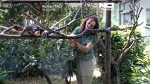 Rome zoo cools animals with icy treats as heatwave grips Italy