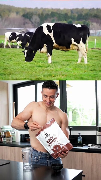 How Whey Protein is made in Factory !! 😱