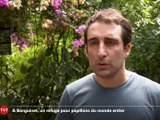 le grand JT des Territoires du 12 juillet 2025 - Grand JT des territoires - TL7, Télévision loire 7