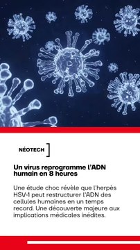 Un virus capable de remodeler notre ADN en 8 heures ? Une découverte qui fait trembler les fondations de la biologie cellulaire