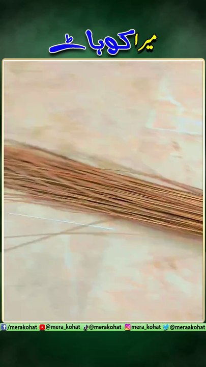 Technolgia