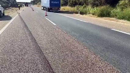 Diogo Jota hayatını kaybetti