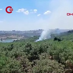 Sultangazi Kent Ormanı'nda yangın