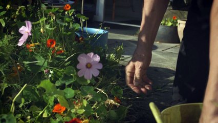 One Way - the story of a Gwynedd woman seeking an assisted death