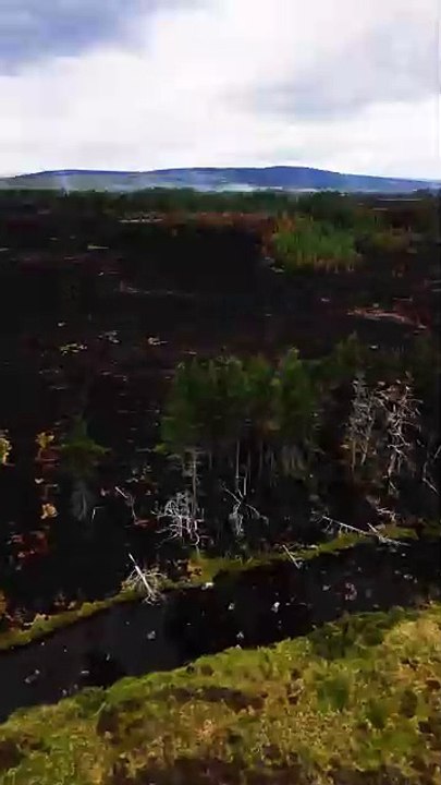 Dava Moor Devastated After Wildfires