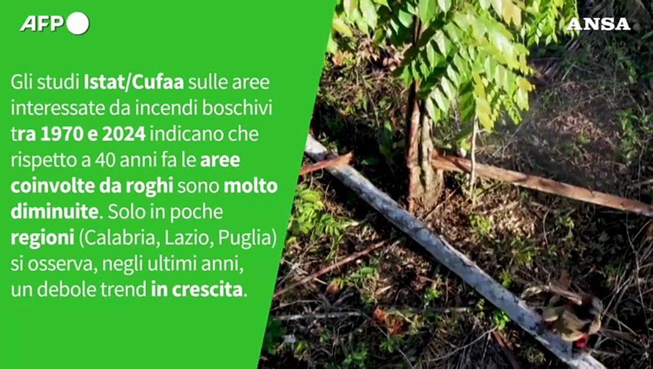 Ansa VERIFIED - E' vero che gli incendi boschivi in Italia stanno aumentando?