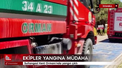 Sultangazi Kent Ormanı'nda yangın çıktı
