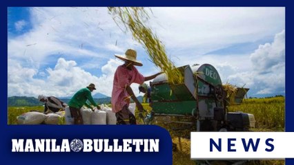 Gov't to go after traders exploiting P20 rice program