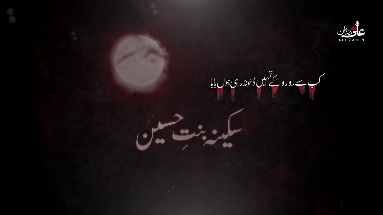 Kab Se Ro Ro k Tumhe Dhoond rhi hun Baba Master Ali Zaminnew Noha 2025