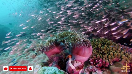 HÁ UM DEUS | Meire cantando AO VIVO em  Momentos no Tabernáculo da Fé em Goiânia - GO - Brasil