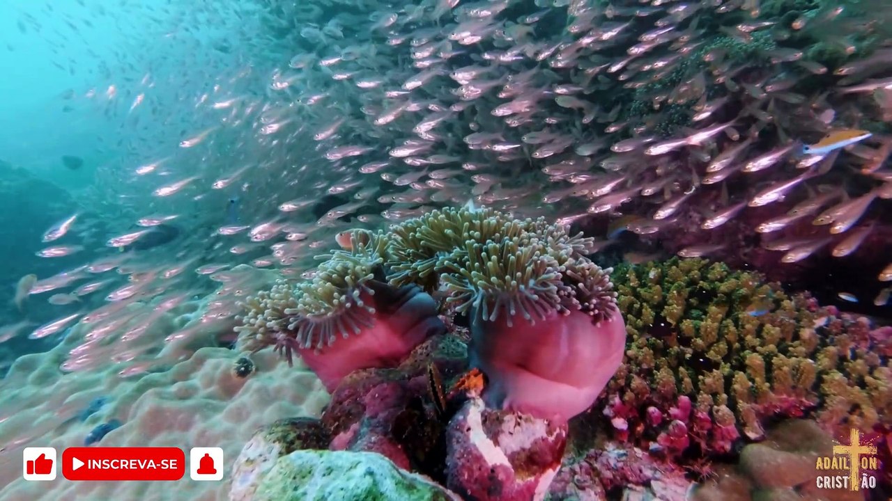 HÁ UM DEUS | Meire cantando AO VIVO em  Momentos no Tabernáculo da Fé em Goiânia - GO - Brasil