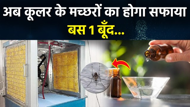 Cooler Mosquito Repellent: कूलर के मच्छर भगाने का सबसे आसान तरीका, इस ख़ास Homemade Spray से...