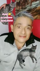 Se me perdió mi gato René y no estamos en quinta Dimensión