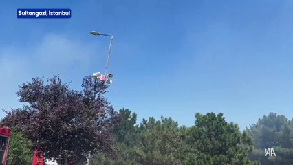 Sultangazi'de ormanlık alanda çıkan yangının söndürülmesine çalışılıyor