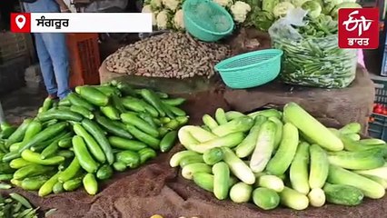 ਸਬਜ਼ੀਆਂ ਦੇ ਭਾਅ ਪਹੁੰਚੇ ਅਸਮਾਨੀ, ਟਮਾਟਰ 100 ਰੁਪਏ ਕਿੱਲੋ ਤੋਂ ਪਾਰ, ਖਰੀਦਦਾਰ ਅਤੇ ਸਬਜ਼ੀ ਵਿਕਰੇਤਾ ਡਾਹਢੇ ਪਰੇਸ਼ਾਨ