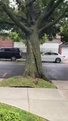 Severe gusts of wind