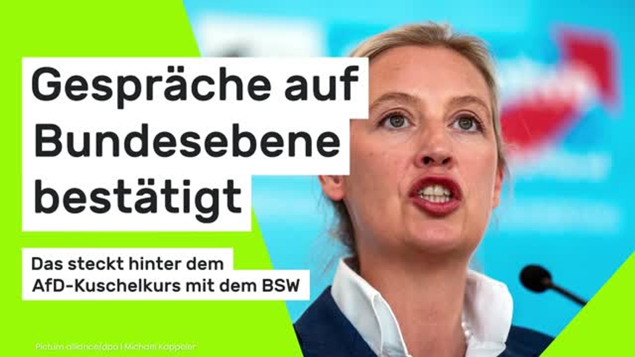 Das steckt hinter dem AfD-Kuschelkurs mit dem BSW