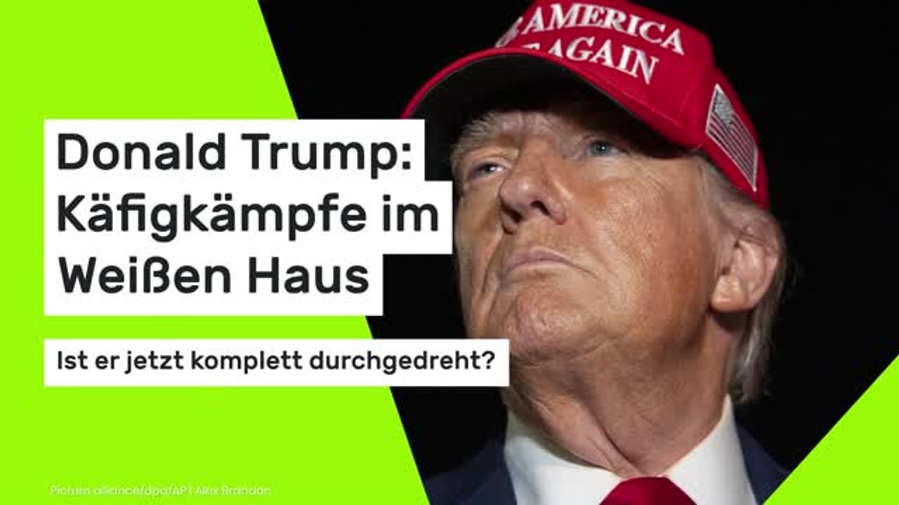 Donald Trump: Käfigkämpfe im Weißen Haus – ist er jetzt komplett durchgedreht?