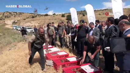 Cumhurbaşkanı Erdoğan: Kafkasya barışın simgesi haline gelecek