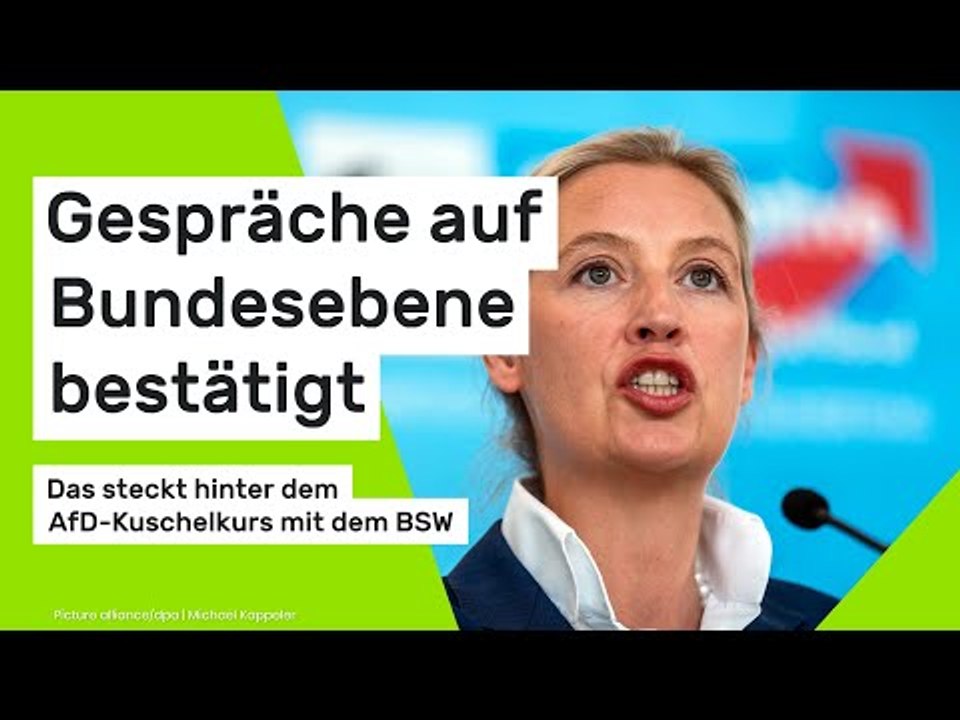 Das steckt hinter dem AfD-Kuschelkurs mit dem BSW