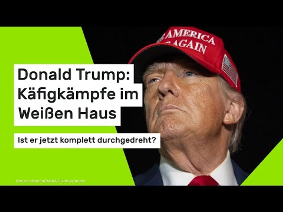 Donald Trump: Käfigkämpfe im Weißen Haus – ist er jetzt komplett durchgedreht?
