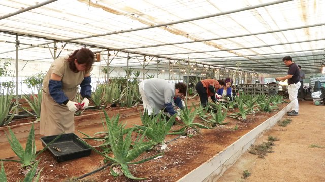 [충북] 충북 청주시 신청사 건립 기공식...2028년 준공 목표 / YTN