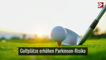 Hundebesitz macht nicht glücklicher