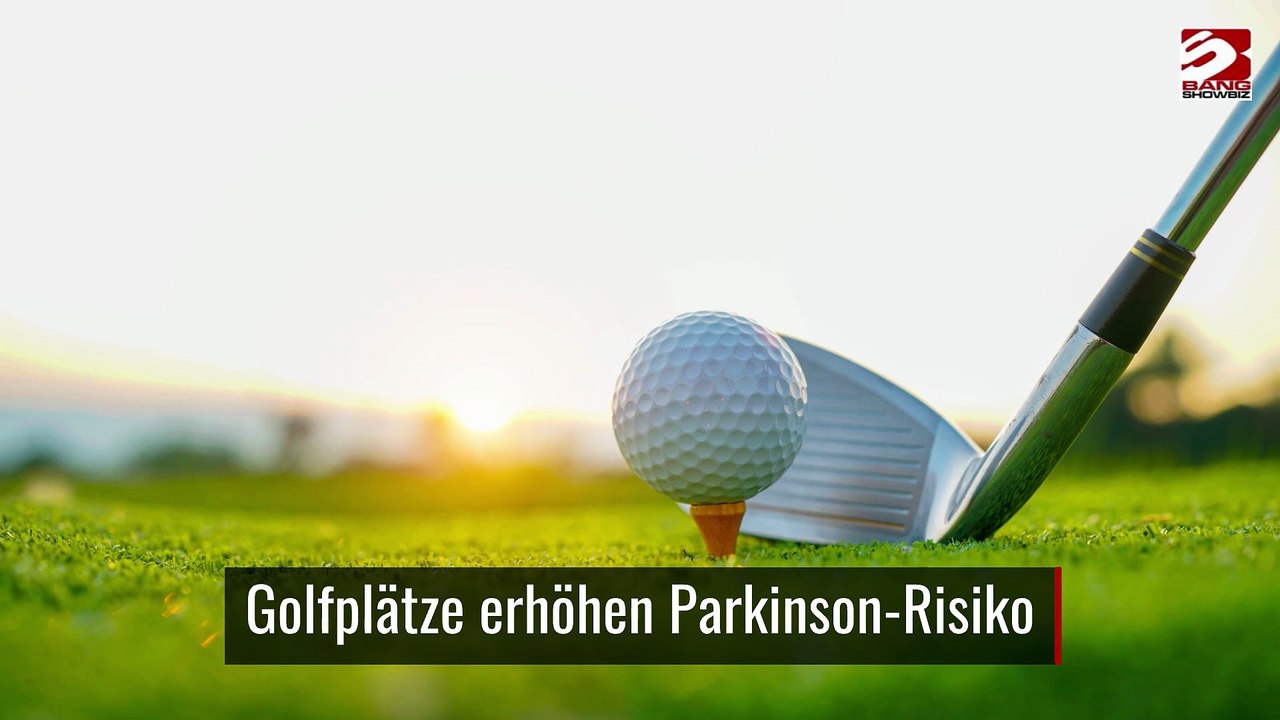 Hundebesitz macht nicht glücklicher