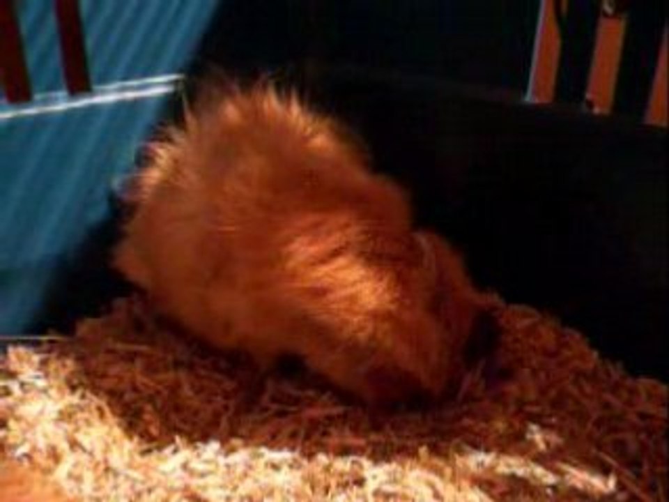 Second bébé, le plus petit