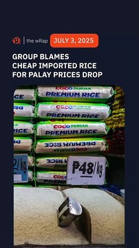 Group blames cheap imported rice for drop in palay prices