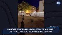 Un menor coge sin permiso el coche de su padre y se estrella dentro del parque Wifi de Palma
