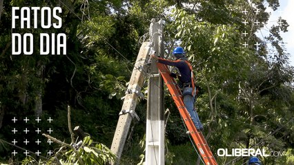 Temporal provoca queda de árvore e transtornos em Belém
