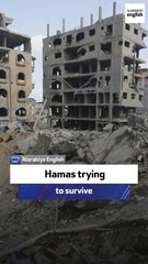 Former US ambassador: Hamas trying to survive