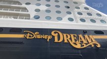 5-Year-Old Girl Who Fell from Disney Cruise Ship Was Not Placed on Railing by Dad, Sheriff Says