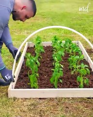 DIY projects to spice up your garden 🏡🌳