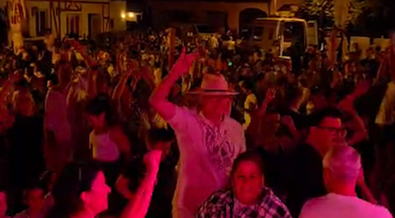 Nostalgie und Gemeinschaft  Ein rekordverdächtiges Sommerfest der SPÖ in Leopoldsdorf im Marchfeld