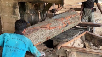 Cutting 2x20 Boards with a Sawmill for Your Dream Home