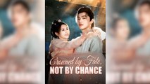 Crowned By Fate, Not By Chance Movie