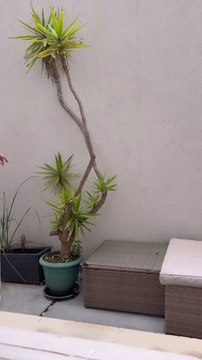 today is an old block but trending block is amazing block, you will not find a better block than this.