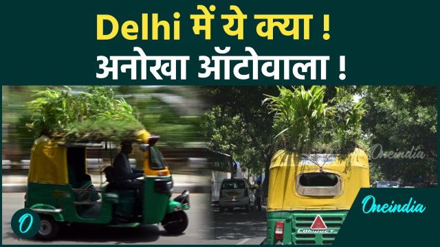Delhi की सड़कों पर चलता-फिरता Garden देख सब हैरान, Auto Driver का Video Viral | Green Auto