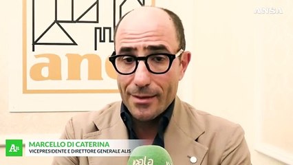 Di Caterina: "Sostenibilita' deve essere anche economica e sociale"